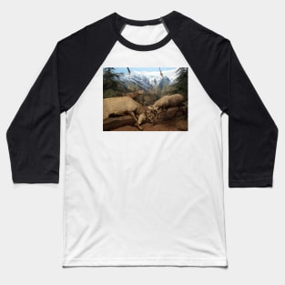 Natural environment diorama - Two deers fighting Baseball T-Shirt